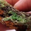 Pyromorphite, Saint-Pardoux la Rivière, Lot.