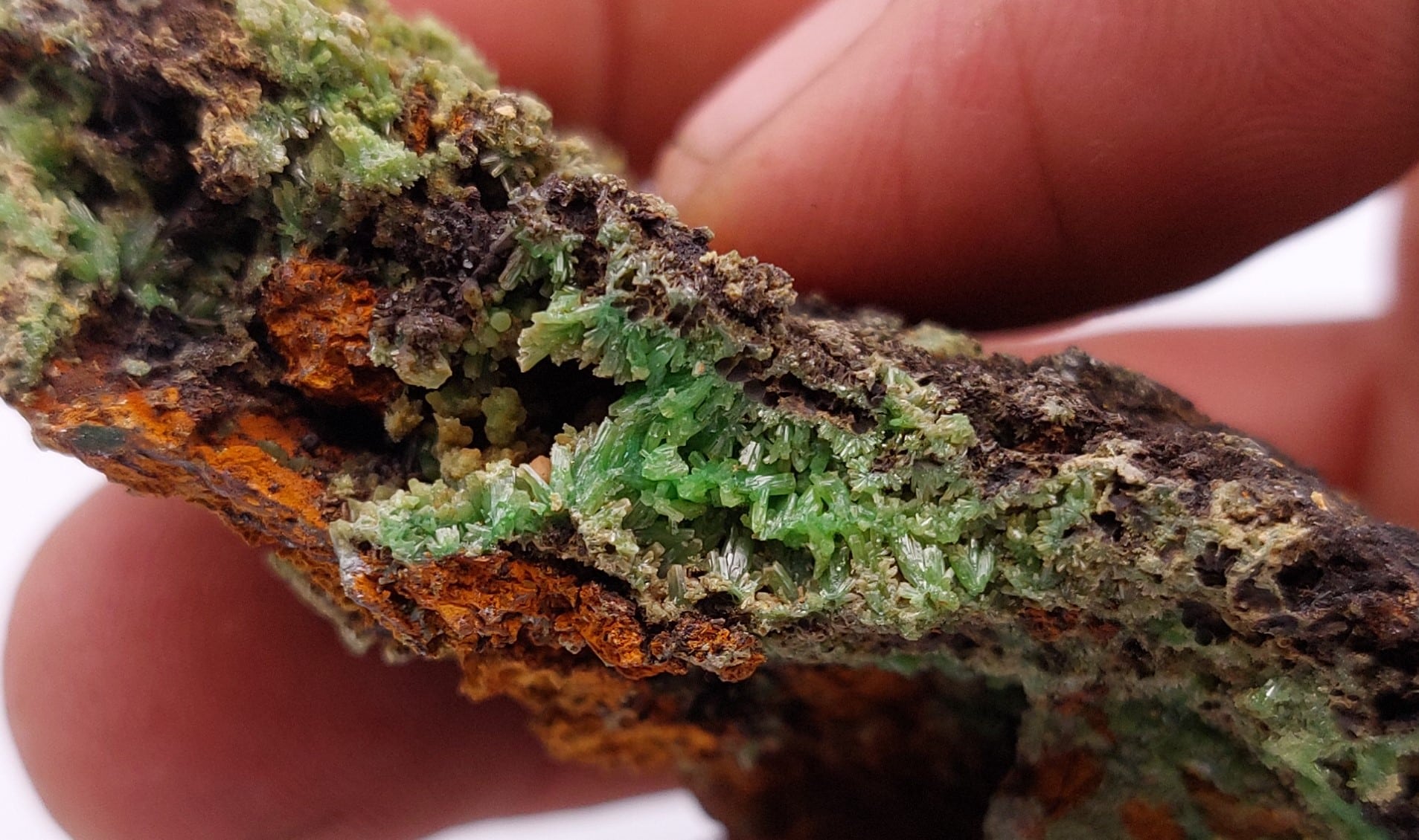 Pyromorphite, Saint-Pardoux la Rivière, Lot.