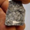 Aurostibite, Krasna Hora, Bohême (République Tchèque).