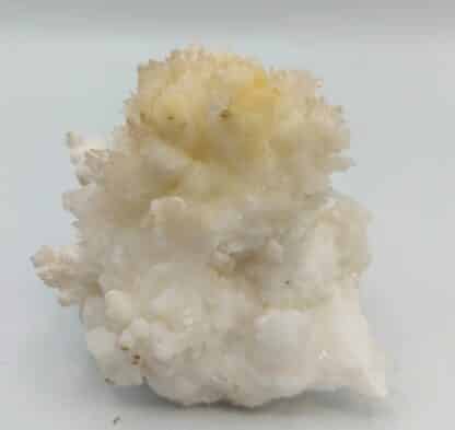 Un beau spécimen d’aragonite. Une première génération botyoïdale à l’aspect saccharoïde partiellement recouverte d’une seconde génération en aiguilles brillantes et parfaitement gemmes. Spécimen étiqueté « calcite » des Hautes-Alpes sans plus de précisions. Ex-Deyrolle avec boite et étiquette d’origine.