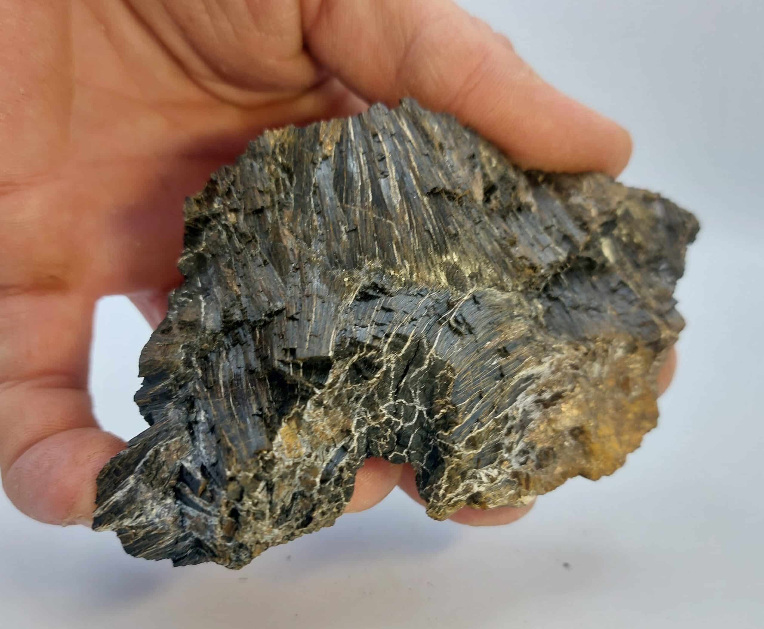 Ludwigite, Brosso, Piémont, Italie.