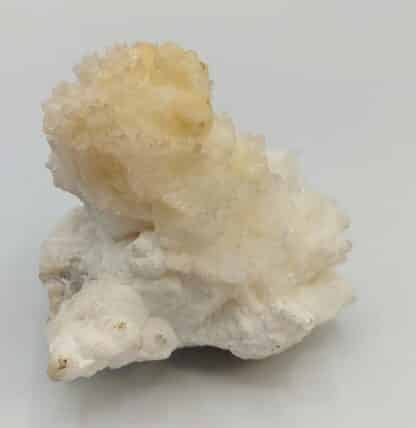 Un beau spécimen d’aragonite. Une première génération botyoïdale à l’aspect saccharoïde partiellement recouverte d’une seconde génération en aiguilles brillantes et parfaitement gemmes. Spécimen étiqueté « calcite » des Hautes-Alpes sans plus de précisions. Ex-Deyrolle avec boite et étiquette d’origine.