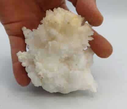 Un beau spécimen d’aragonite. Une première génération botyoïdale à l’aspect saccharoïde partiellement recouverte d’une seconde génération en aiguilles brillantes et parfaitement gemmes. Spécimen étiqueté « calcite » des Hautes-Alpes sans plus de précisions. Ex-Deyrolle avec boite et étiquette d’origine.