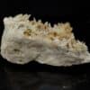 Prehnite et Pectolite, Mine Jeffrey, Asbestos, Quebec, Canada.
