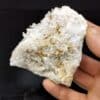 Pseudomorphose d’Anhydrite en Quartz, Cuzac, Lot.