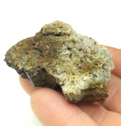 Pyrite et Chalcopyrite, Saint-Hippolyte-du-Fort, Gard.