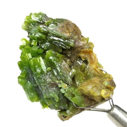 Pyromorphite, Mine des Farges, Ussel, Corrèze.