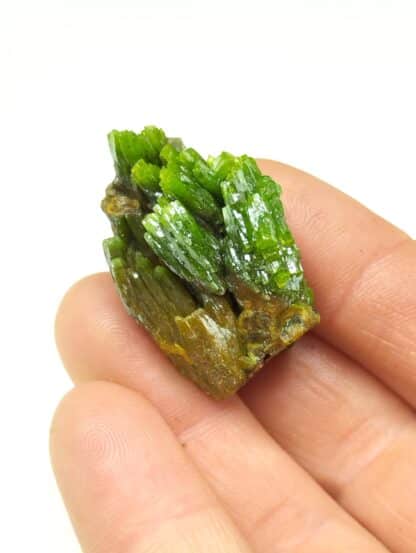 Pyromorphite, Mine des Farges, Ussel, Corrèze.