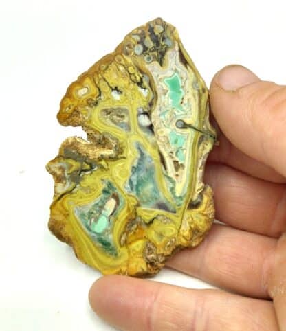 Variscite et Wardite, Clay Canyon, Fairfield, Utah, USA (États-Unis).