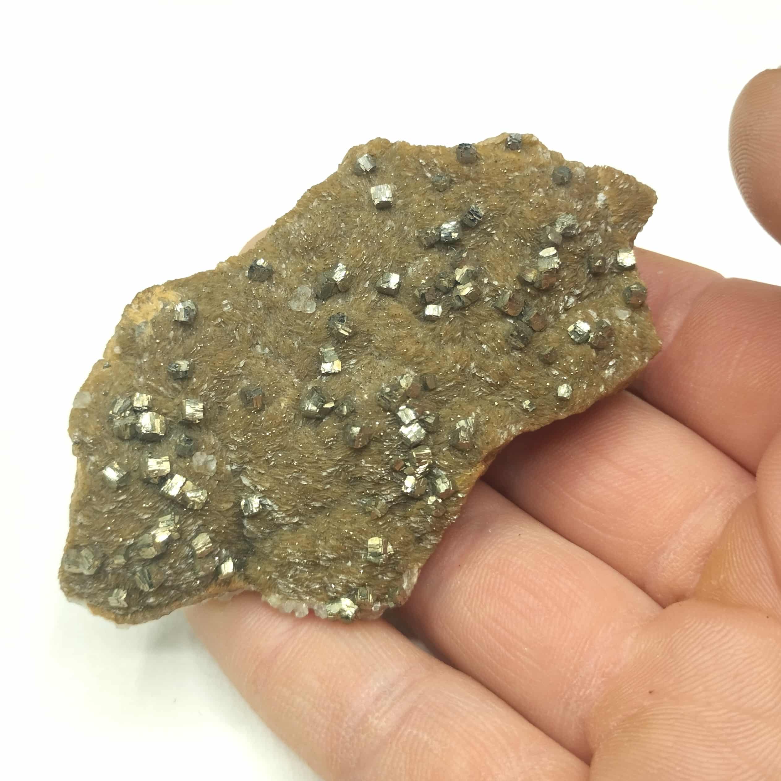 Pyrite sur Sidérite, Mine de Peyrebrune, Tarn.