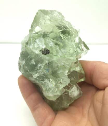 Fluorite (Fluorine), Xianghuapu, Chenzhou, Hunan, Chine.