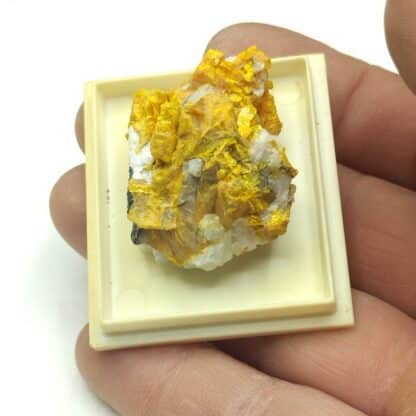 Orpiment, Luceram, Alpes-Maritimes.