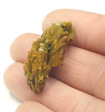 Pyromorphite, Mine des Farges, Ussel, Corrèze.