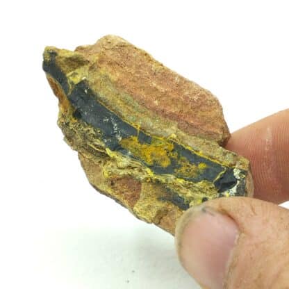 Vandendrisscheite, Uranotile et Pechblende, Le Mas d’Alary, Lodève, Hérault.