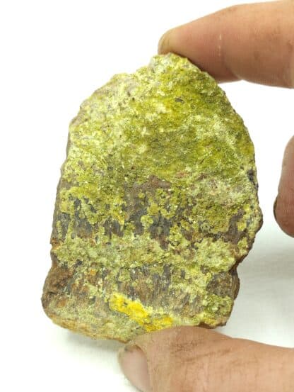 Autunite, Kersegalec-en-Lignol, Morbihan, Bretagne.