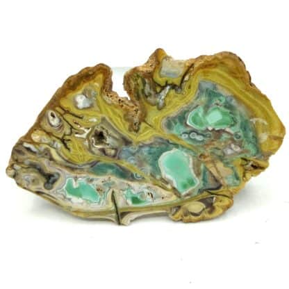 Tranche polie (sur ses deux faces) de variscite (verte) et wardite (jaune) en provenance de Clay Canyon dans l’Utah aux États-Unis (USA). La variscite se présente en nodules sur ce gisement et est entourée de wardite, un phosphate de sodium et aluminium. Les nodules sont découpés en tranches qui sont ensuite polies. Clay Canyon est la localité type de la wardite. Variscite et Wardite, Clay Canyon, Fairfield, Utah, USA (États-Unis).