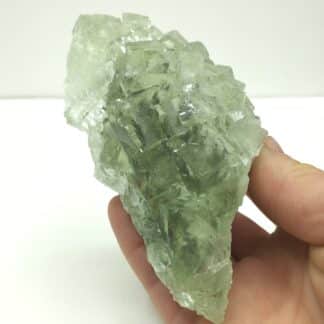 Fluorite (Fluorine), Xianghuapu, Chenzhou, Hunan, Chine.