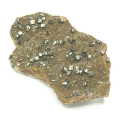 Pyrite sur Sidérite, Mine de Peyrebrune, Tarn.