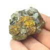 Pyrite et Chalcopyrite, Le Burc, Tarn.