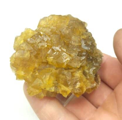 Fluorite jaune, Les Salles, Ussel, Corrèze. – Image 7