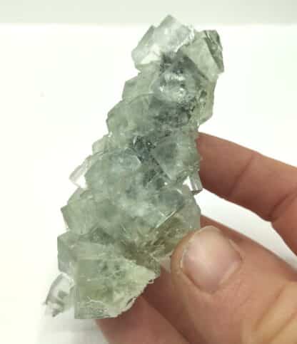 Fluorite (Fluorine), Xianghuapu, Chenzhou, Hunan, Chine.