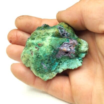 Cuprite et Chrysocolle, Île d’Elbe, Italie.