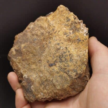 Tétraédrite pseudo en Azurite, et Dolomite, Usclas du Bosc, Loiras, Hérault.