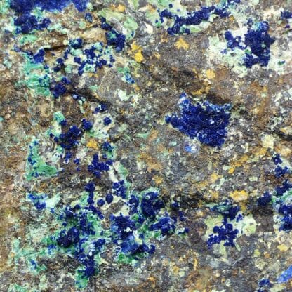 Parnauite et Azurite, Cap Garonne, Var.