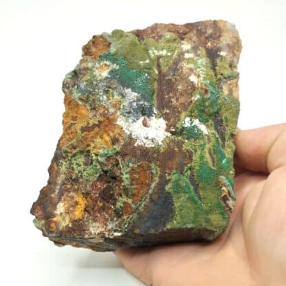 Olivénite, Malachite et Dundasite, Cap Garonne, Var.