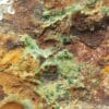 Olivénite, Malachite et Dundasite, Cap Garonne, Var. – Image 7