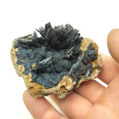 Vivianite, Kertch, Crimée, Russie, Ukraine.