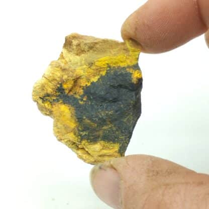 Vandendriesscheite et Pechblende, Le Mas d’Alary, Hérault. – Image 5