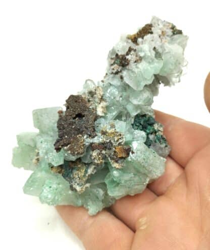 Baryte (Barytine), Shangulowe, Katanga, Congo RDC. – Image 5