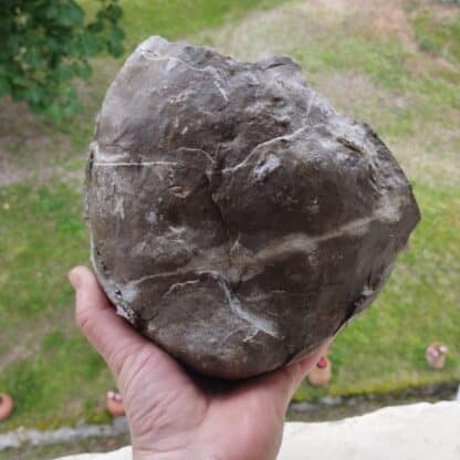 Célestine dans Septaria, Orpierre, Hautes-Alpes.