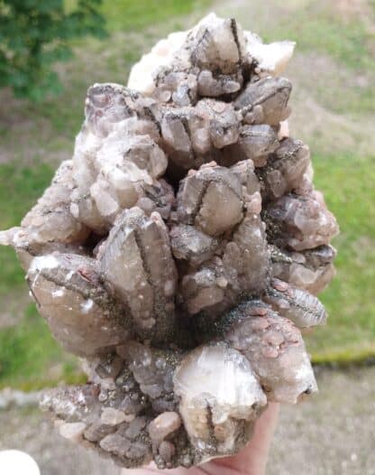 Pyrite sur Calcite, Carrière de Ferques, Pas-de-Calais.