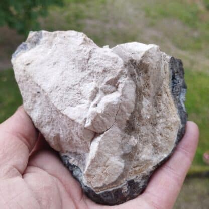 Bournonite, Mine des Malines, Saint-Laurent-le-Minier, Gard.