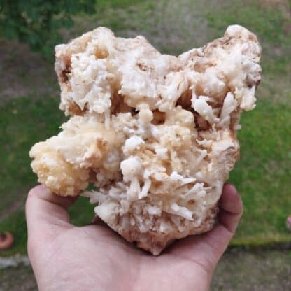 Aragonite, Salsigne, Aude.