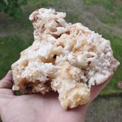 Aragonite, Salsigne, Aude.