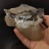 Calcite, Trèves, Gard.