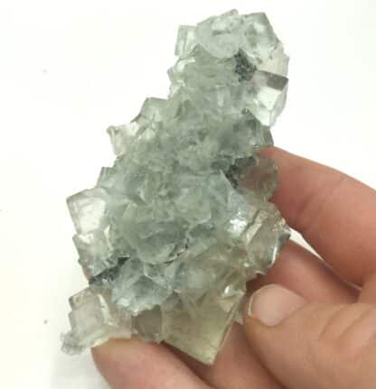 Fluorite (Fluorine), Xianghuapu, Chenzhou, Hunan, Chine.