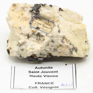 Autunite, Saint-Jouvent, Limoges , Haute-Vienne.