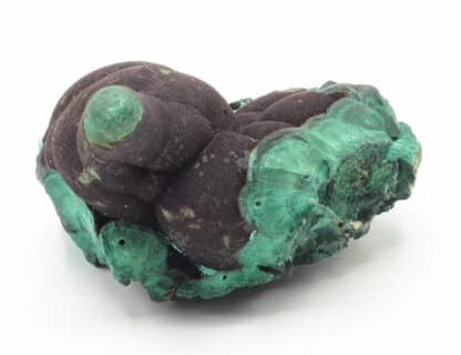 Malachite stalactiforme, Nijne Tagilsk, Oural, Russie.