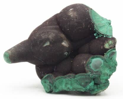 Malachite stalactiforme, Nijne Tagilsk, Oural, Russie.