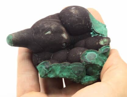 Malachite stalactiforme, Nijne Tagilsk, Oural, Russie.