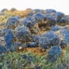 Malachite et Azurite, Bonneterre, Saint-Laurent d’Olt, Aveyron.