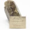 Baryte, Champeix, Issoire, Puy-de-Dôme, Auvergne-Rhône-Alpes.