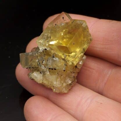 Fluorite et Pyrite, Devonshire, Angleterre, Royaume-Uni.