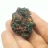 Calumetite et Cuivre natif, Calumet, Michigan, USA (États-Unis).