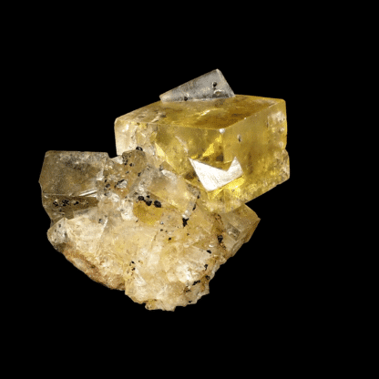 Fluorite et Pyrite, Devonshire, Angleterre, Royaume-Uni.