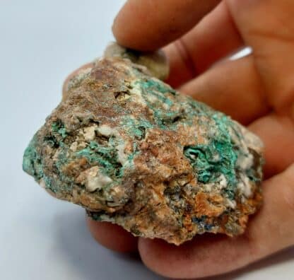 Molybdénite, Chalcopyrite et Malachite, Chateau-Lambert, Haute-Saône.